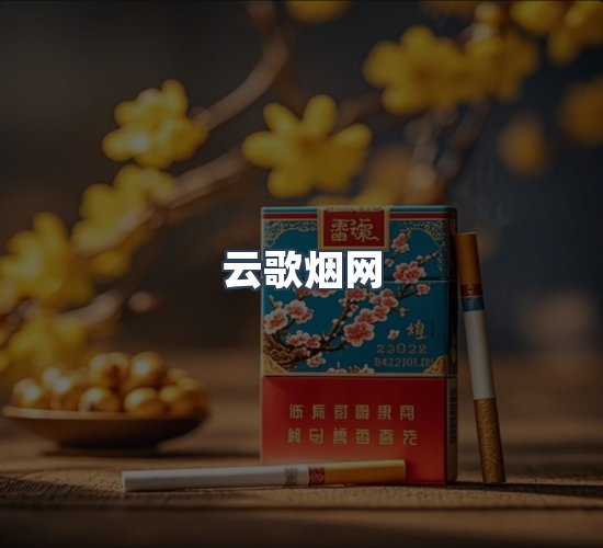 关于云歌烟网
